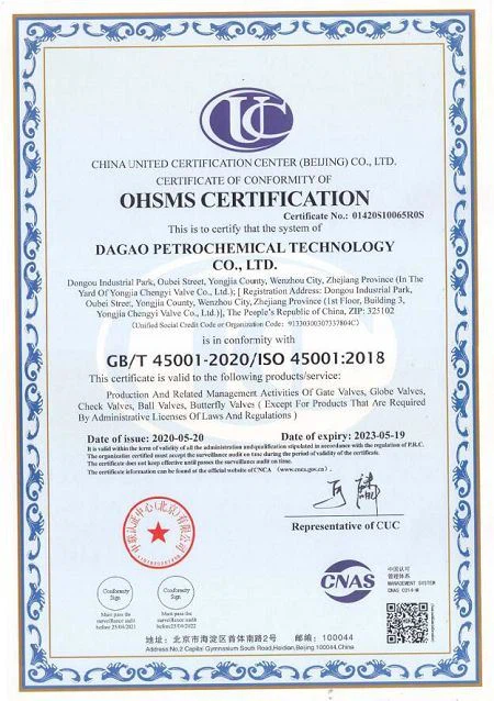 ISO45001(001)