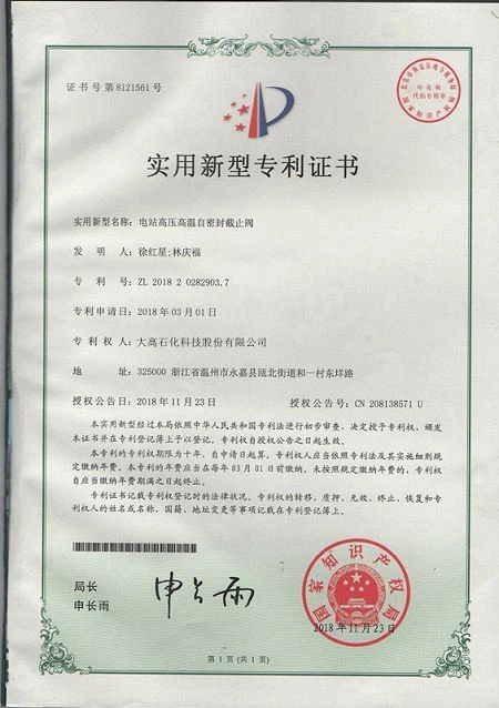 Patent5(001)