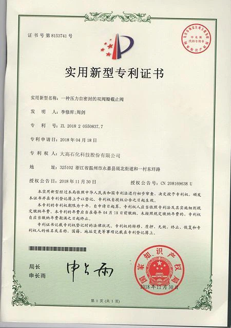 Patent8(001)