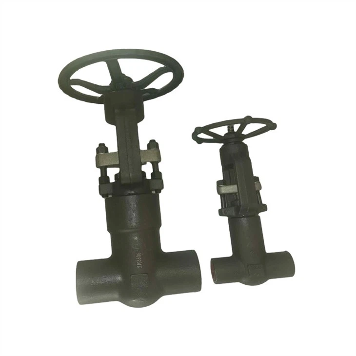 Válvula de gaveta 4500LB